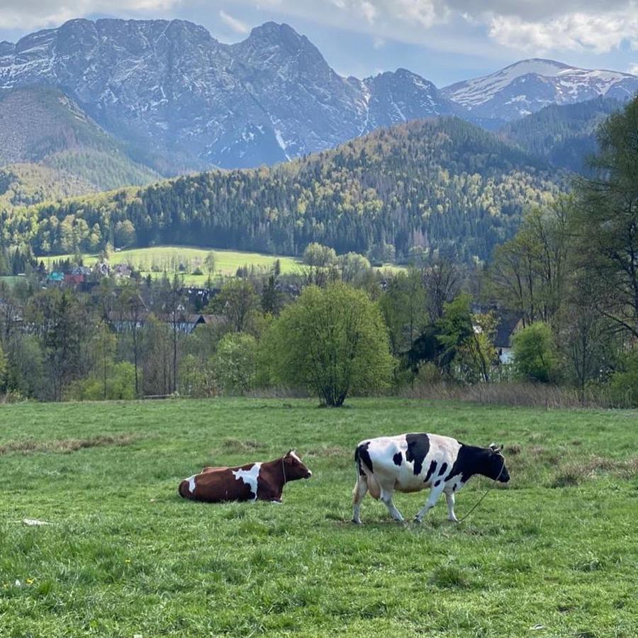 Apartament Poleczka Zakopane Koscielisko Luaran gambar