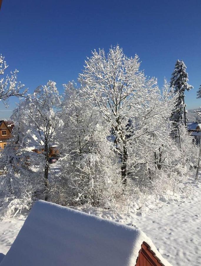 Apartament Poleczka Zakopane Koscielisko Luaran gambar